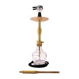 Amy Deluxe 129.01 Zodiac Gold - Transparent / Gold